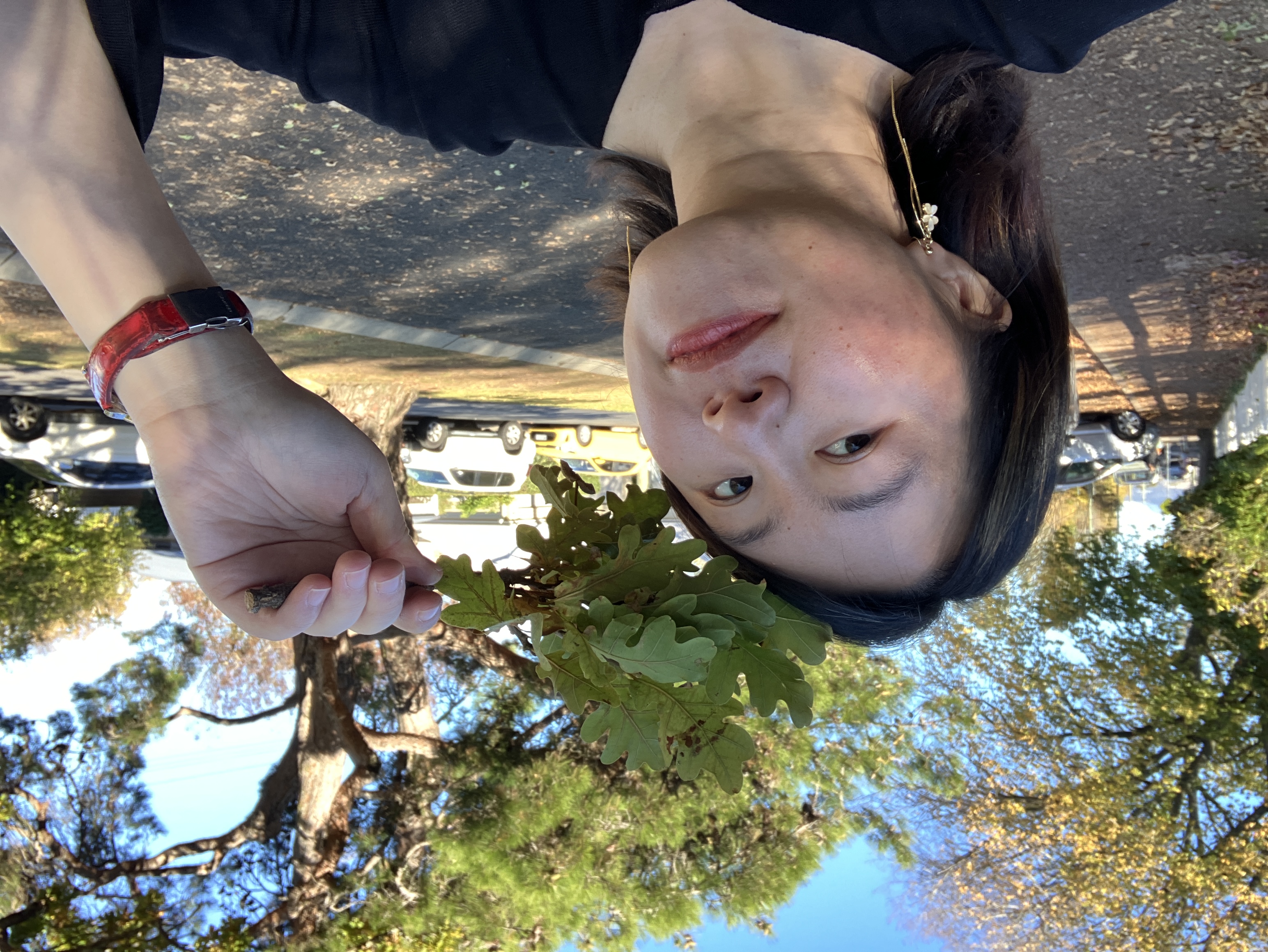 Zoe Wang